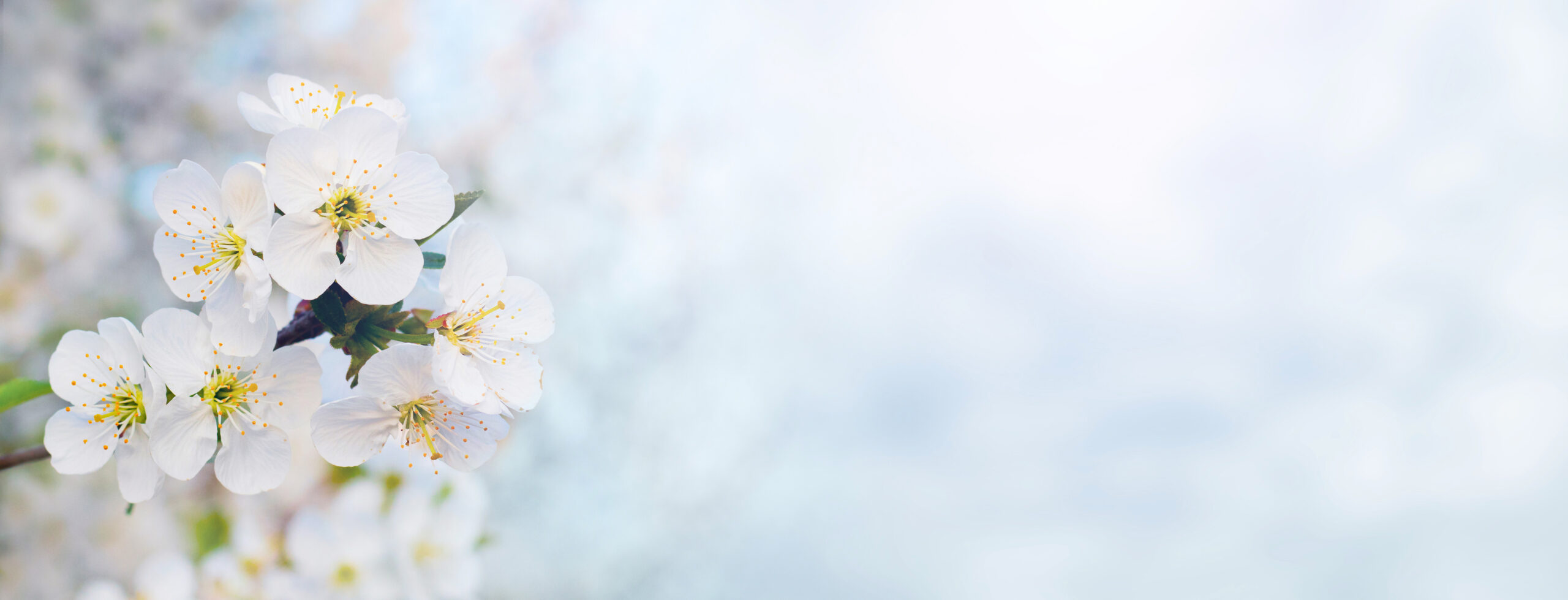 Ranheim Maleforening - Vårutstilling 2026